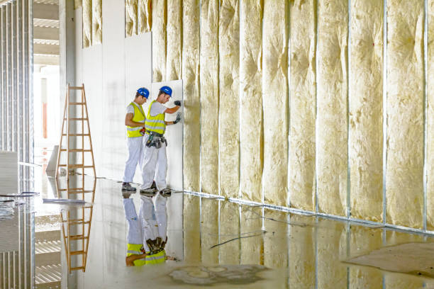 Insulation Repair Services in West Des Moines, IA